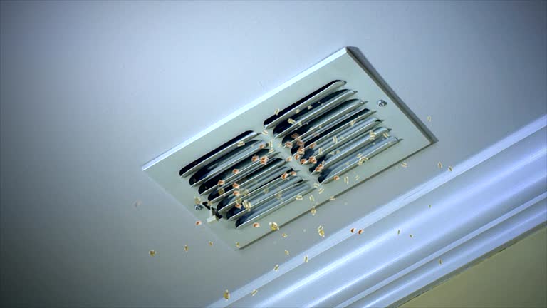 Best HVAC System Cleaning  in Wollochet, WA