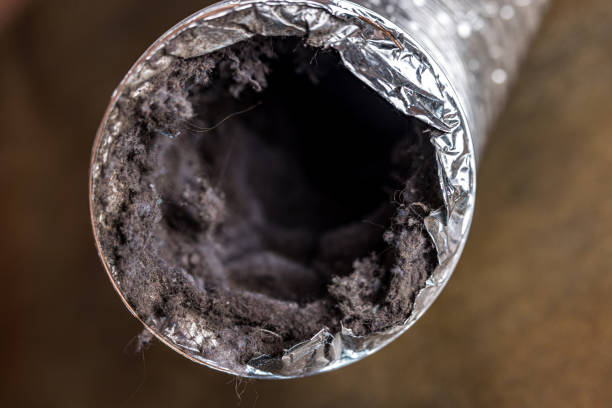 Best HVAC System Cleaning  in Wollochet, WA