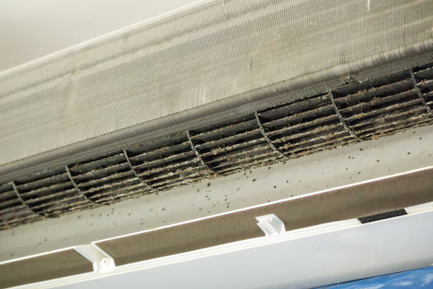 Best Air Duct Cleaning Near Me  in Wollochet, WA